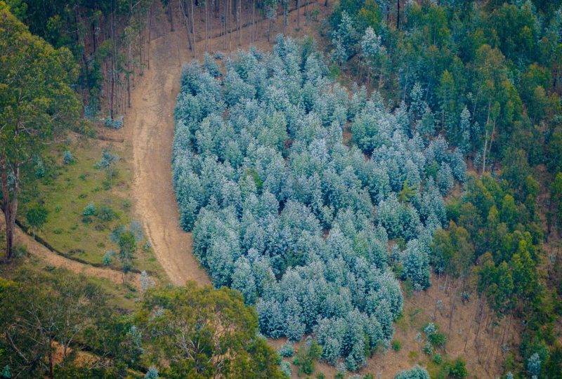 aerol Photography_Nyabihu (15) (1)